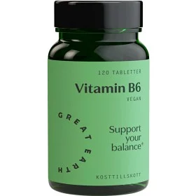 Vitamin B-6 120 tab Great Earth