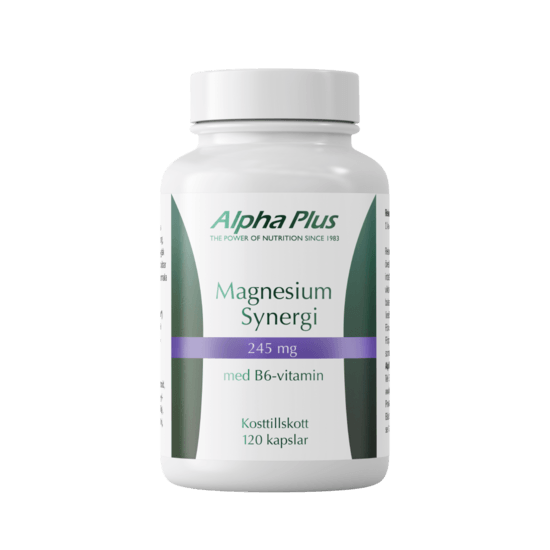 Magnesium Synergi 120 kap Alphaplus