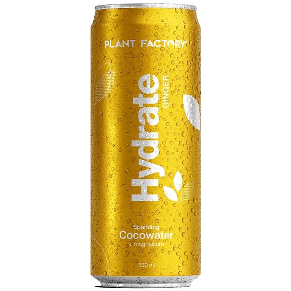 Hydrate/ Elektrolyter Ginger 33 cl