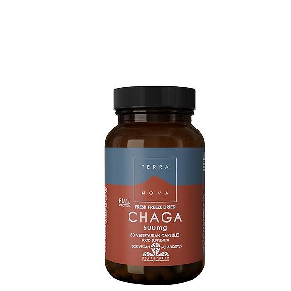 Chaga 50 kap