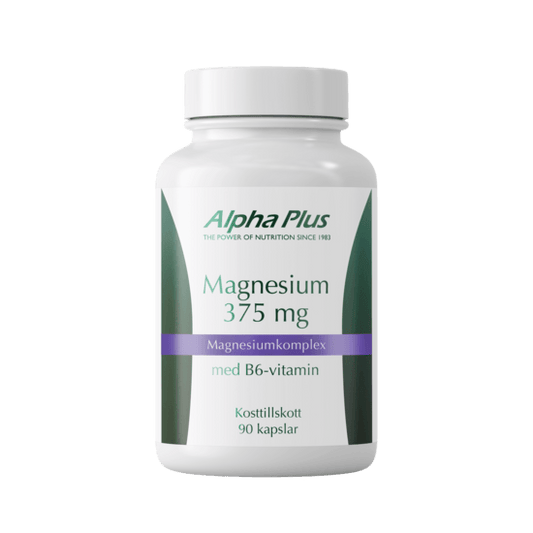 Magnesium 375 mg 90 kap Alphaplus